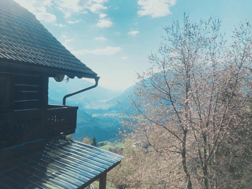 Bauernhof Oberfriessnig Villa Радентхайм Екстериор снимка