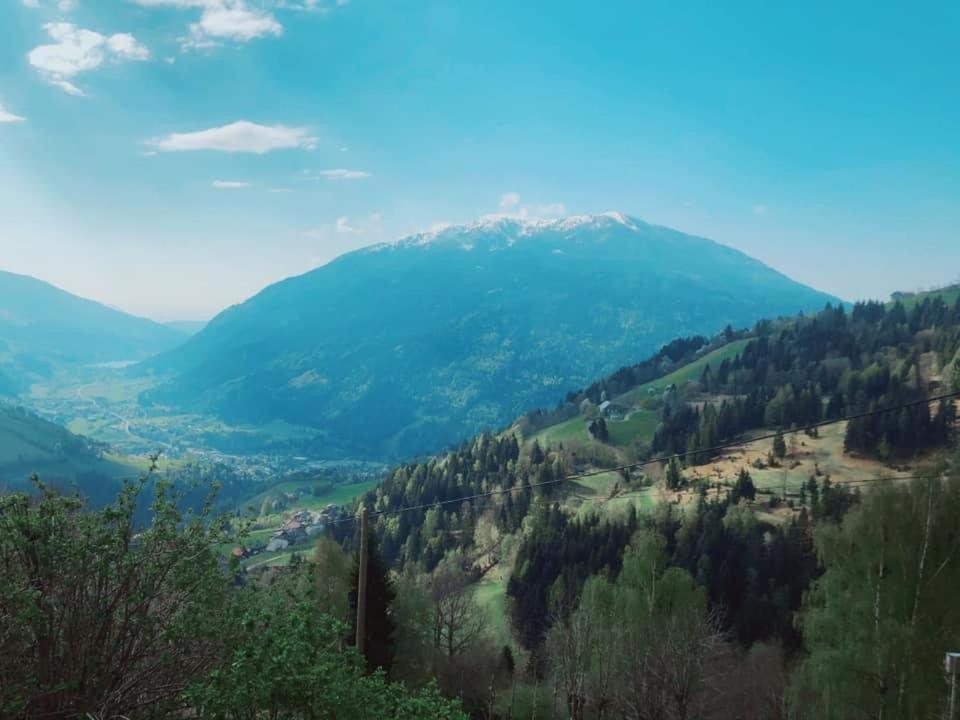 Bauernhof Oberfriessnig Villa Радентхайм Екстериор снимка